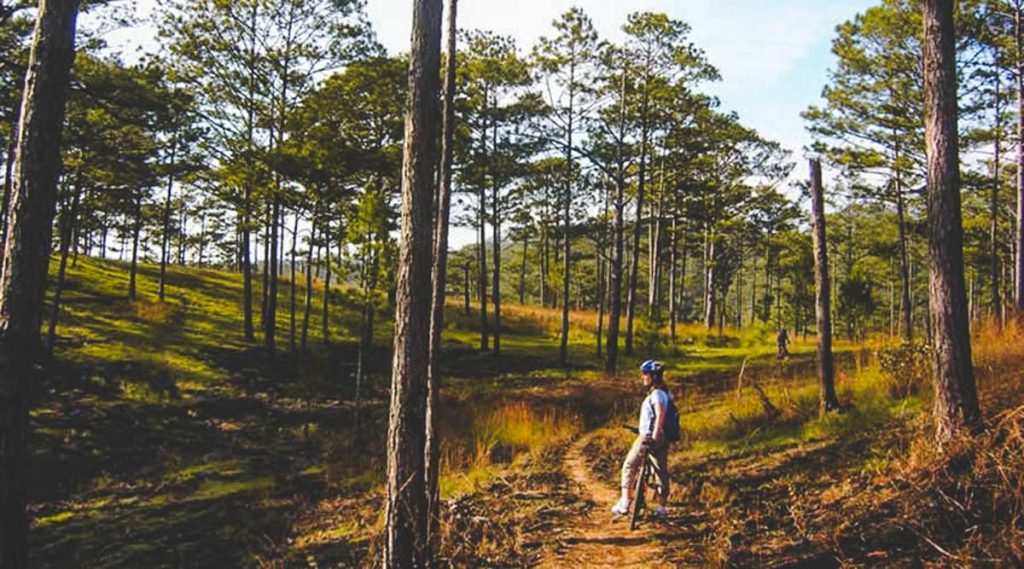 biking in Dalat