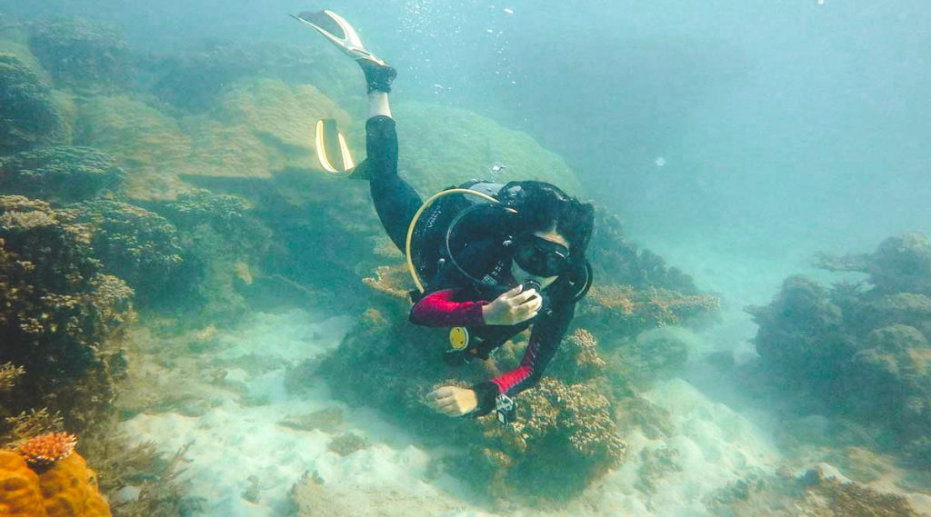 diving in Con Dao