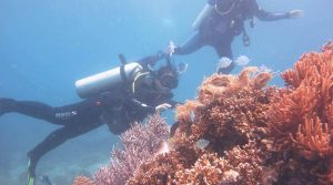 diving in Vietnam