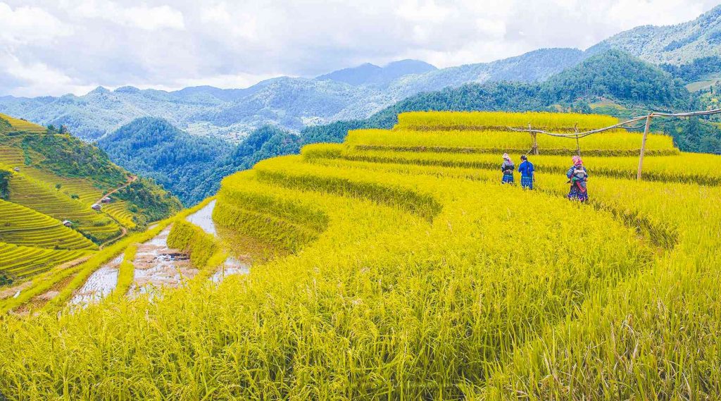 off the beaten track in Vietnam