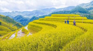 off the beaten track in Vietnam