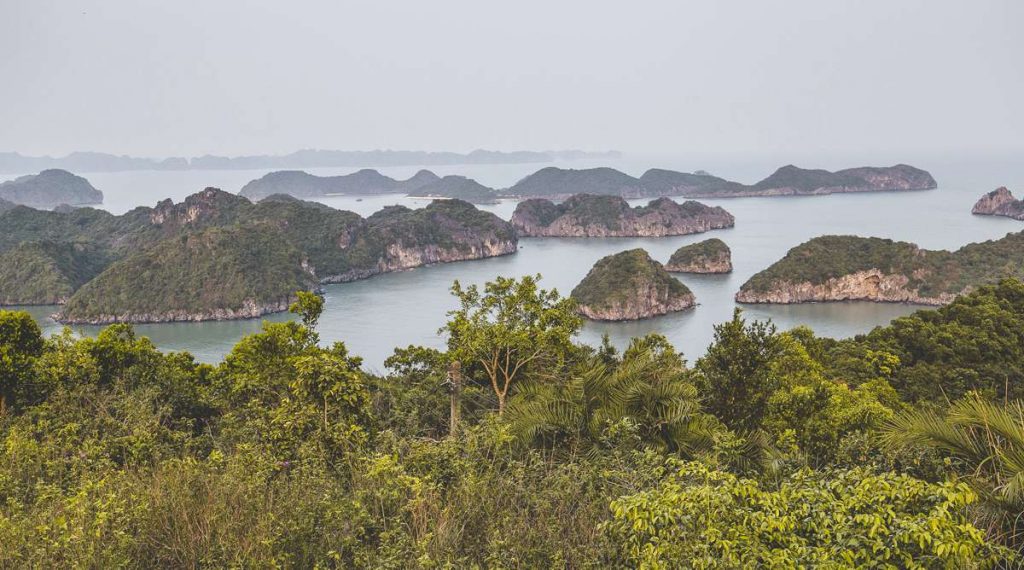 Cat Ba viewpoint