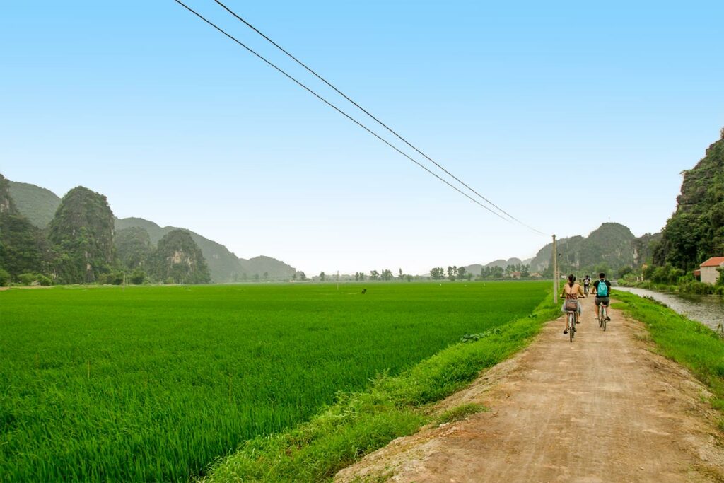 A group of tourists are cycling on a dirt road through the countryside of Ninh Binh with green rice fields and karst mountains