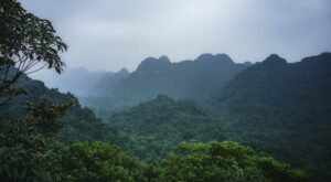 Cuc Phuong National Park