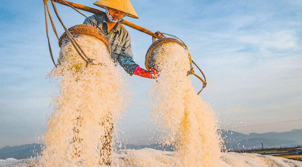 Hon Khoi Salt Fields