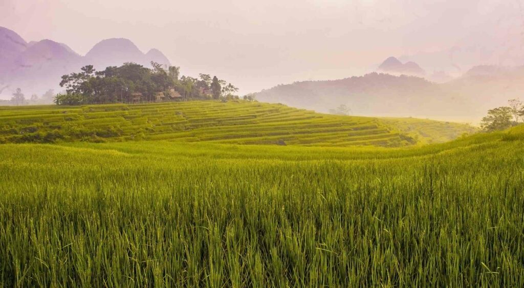 Pu Luong nature reserve