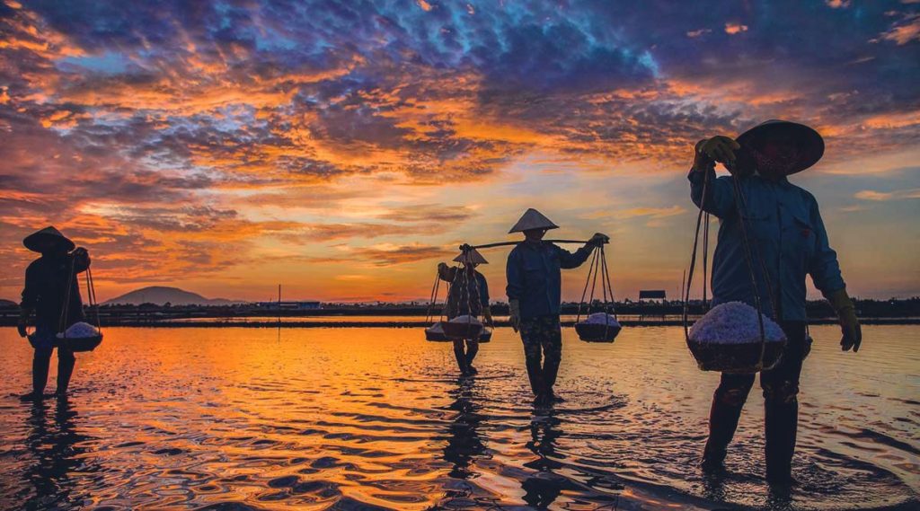 Salt fields Nha Trang