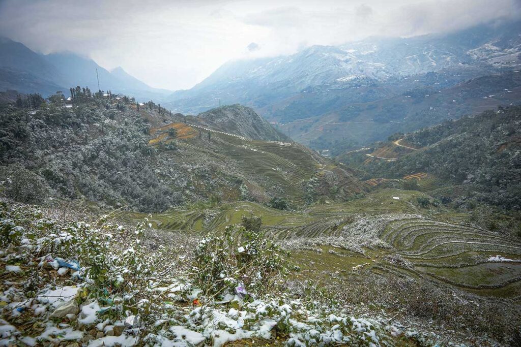 cold frost on the rice fields of Sapa in January