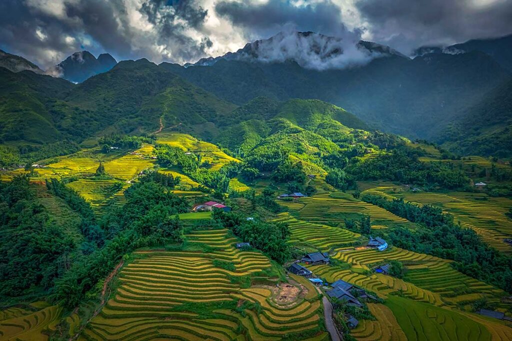 The rice fields of Sapa between the villages of Ta Van and Y Linh Ho.