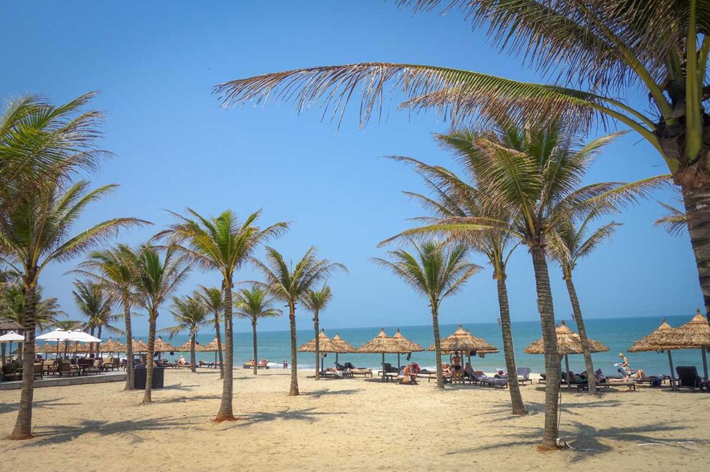 Palm-lined beachfront with thatched umbrellas and sun loungers on An Bang Beach, Hoi An