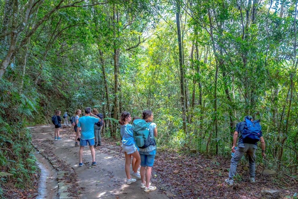 A group of tourists are making a trekking over a concrete path inside Bach Ma National Park