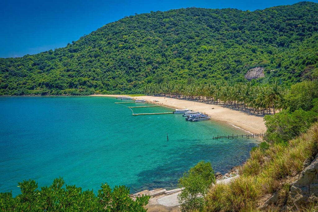 Bai Ong Beach on Cham Island with golden sand, turquoise water, and palm trees — the island’s most accessible swimming spot.