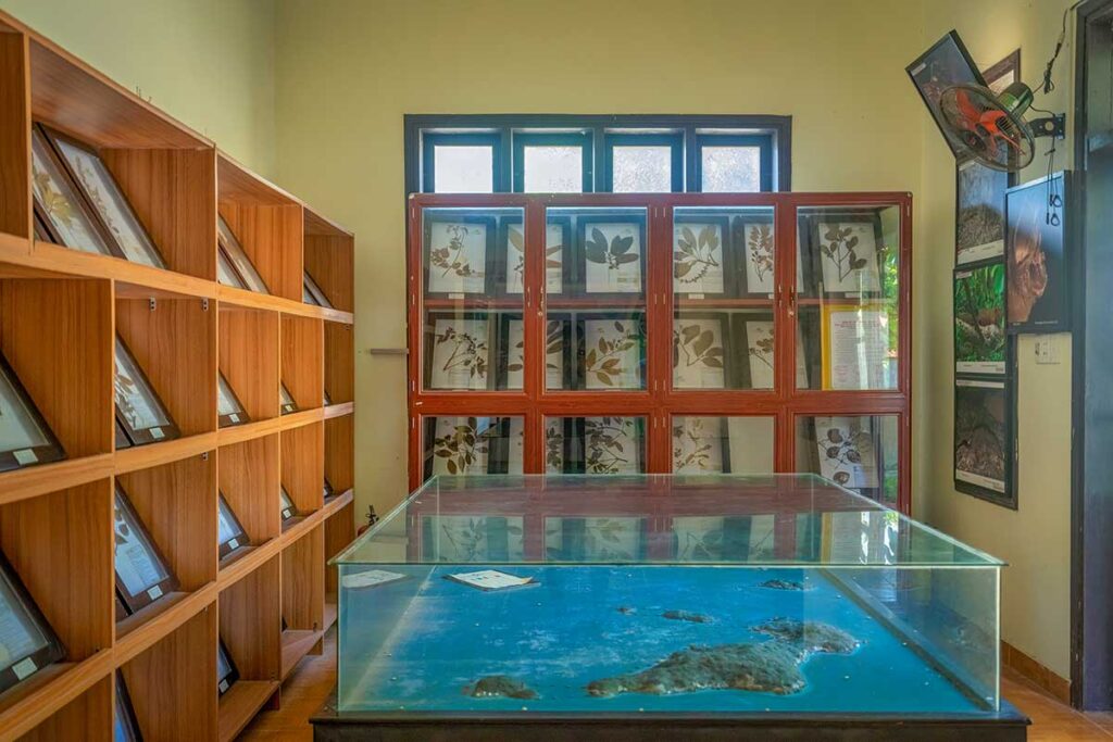 Exhibit room inside Cham Island Marine Museum, displaying preserved plant specimens and information about local biodiversity.