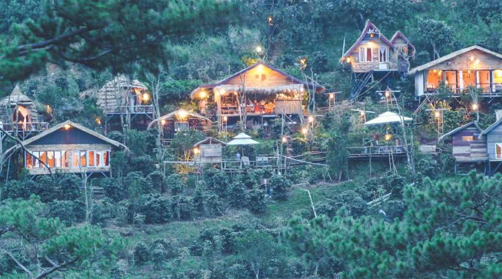 Cú Trên Cây Homestay