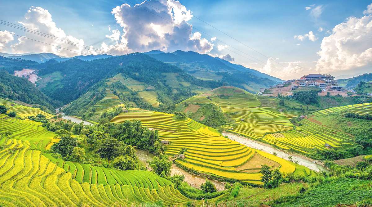 Mu Cang Chai