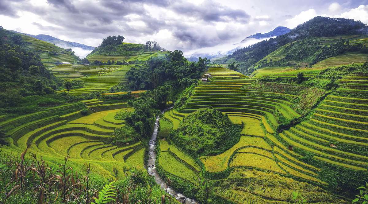 Mu Cang Chai