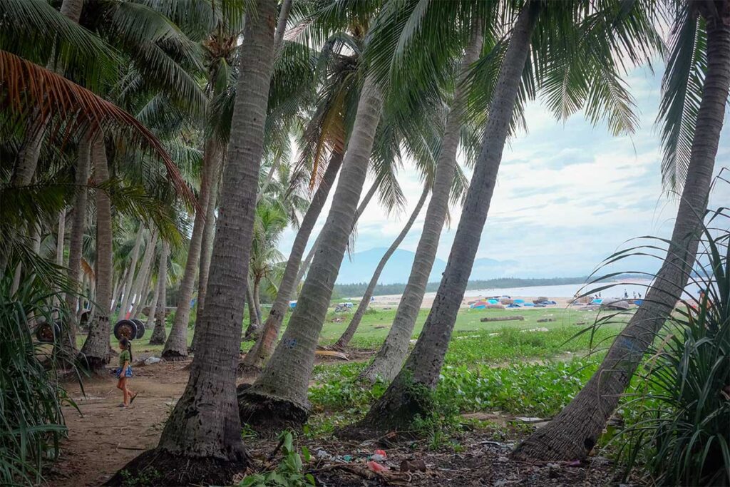 View through leaning palm trees towards the quiet beach of Tam Hai Island, with coracle boats and distant fishermen visible.