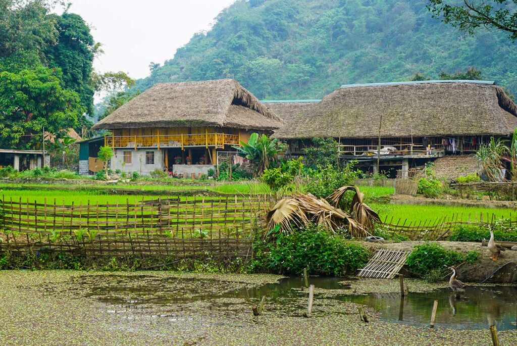 A view of rice fields and stilt houses of Tay people at Thon Tha Village near Ha Giang City