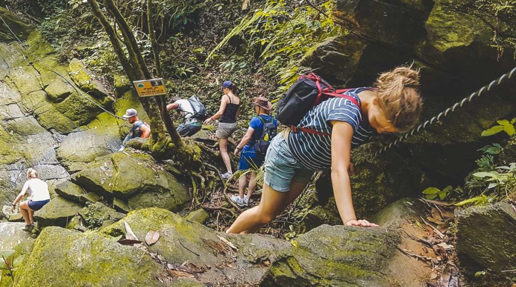 trekking in Bach Ma National Park