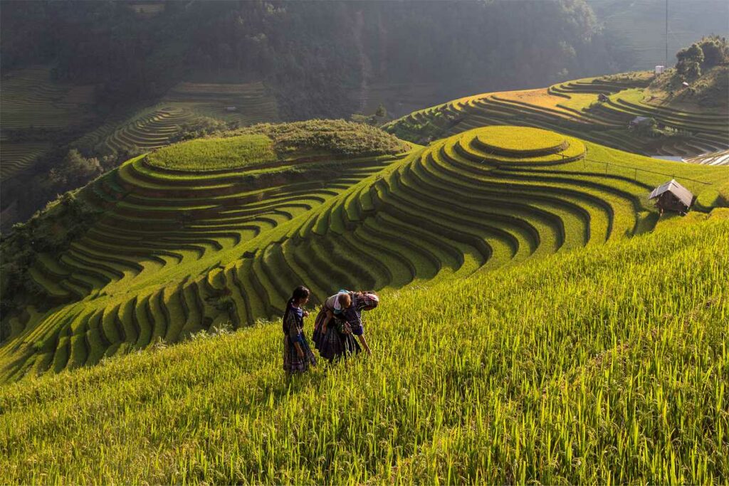 tours Mu Cang Chai