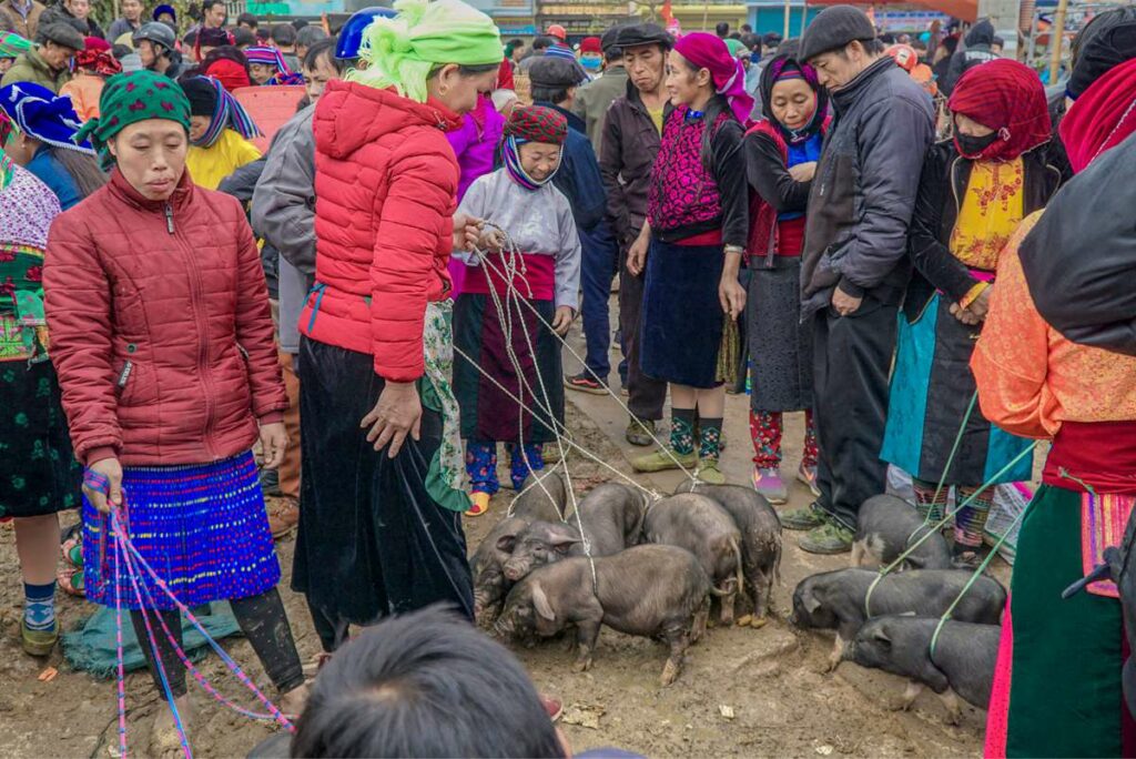 Ha Giang loop at Dong Van market