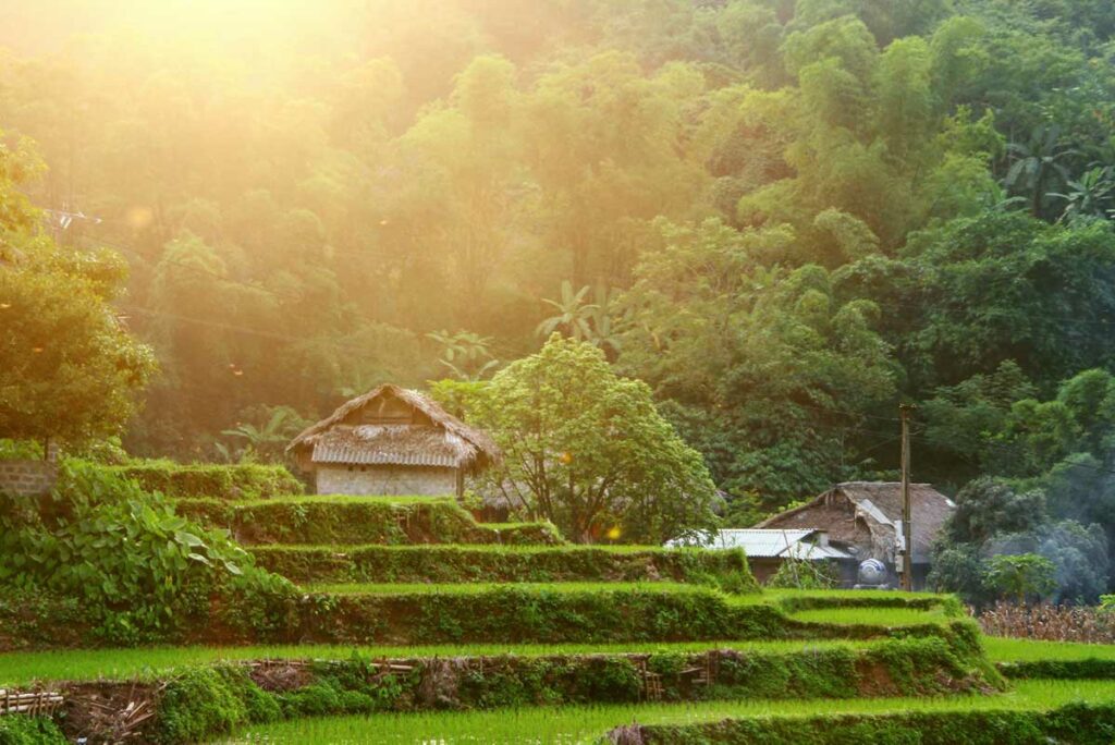 Sapa homestay between the rice fields