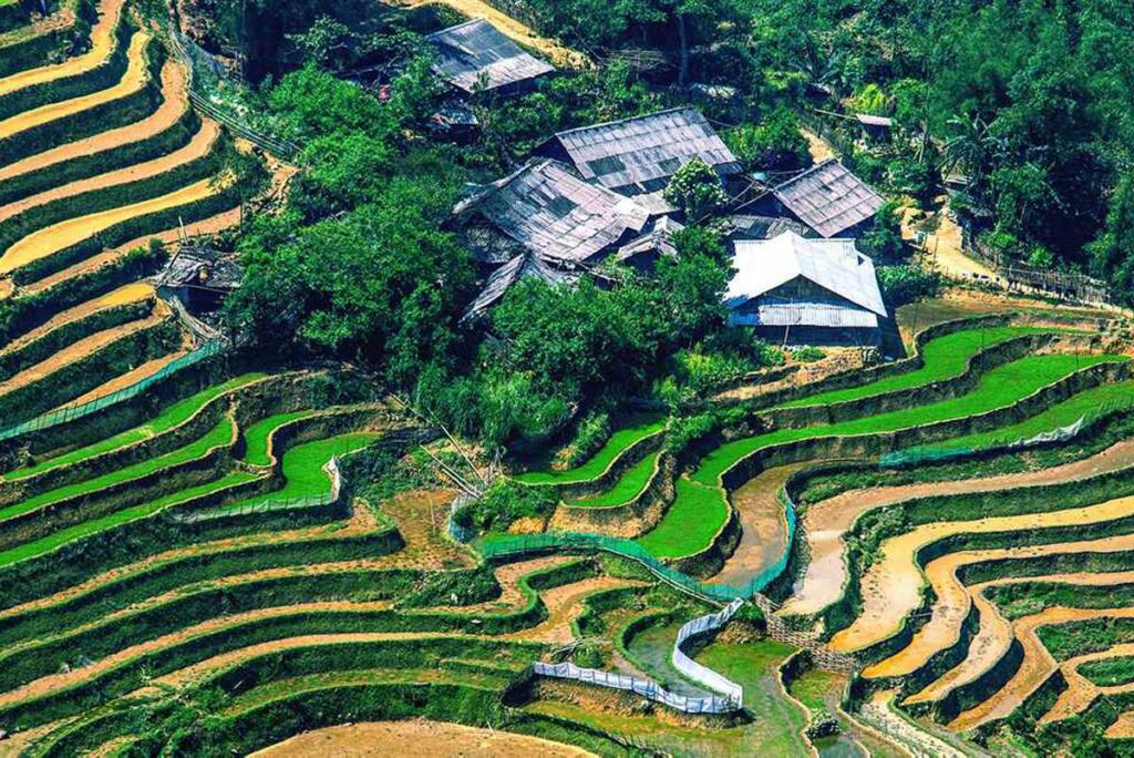 Sapa rice fields