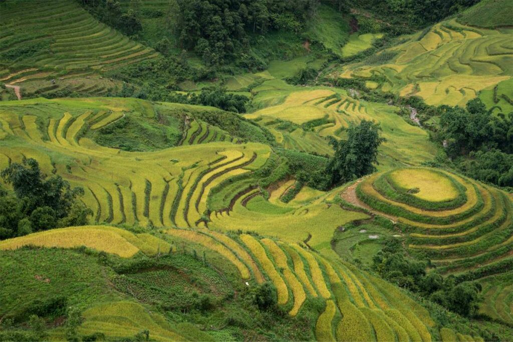 Ta Van village near Sapa