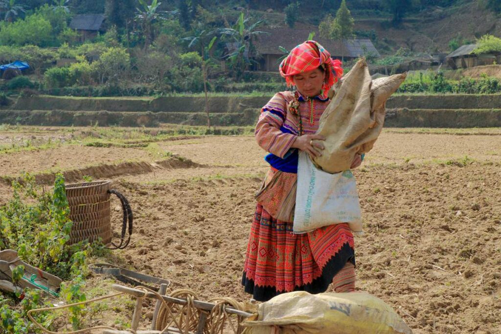 Bac Ha