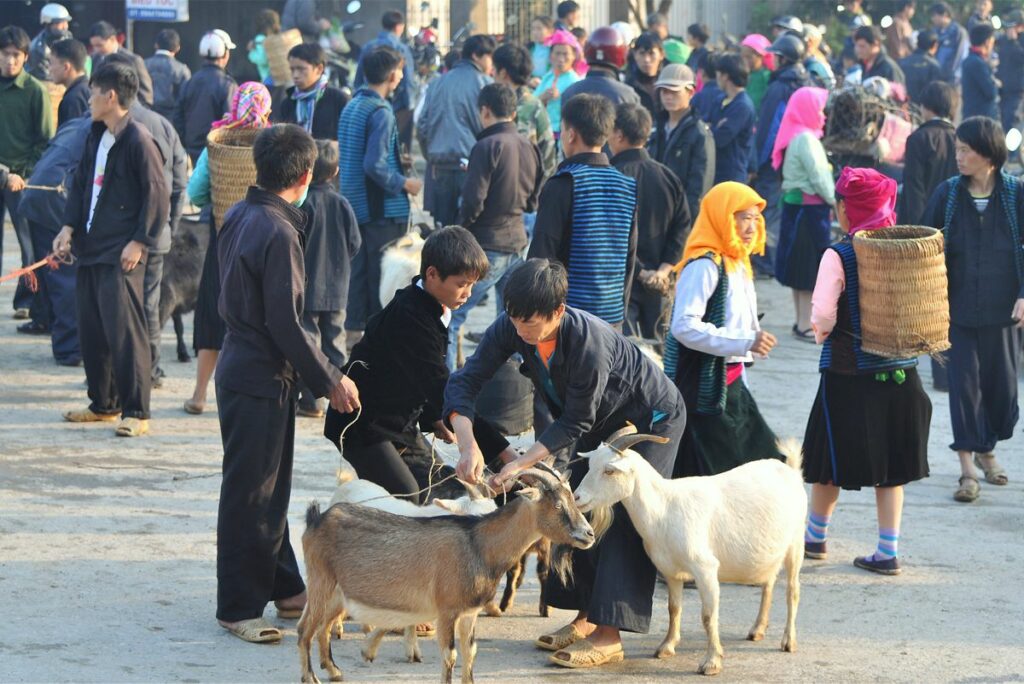 cattle market in Ha Giang Meo Vac