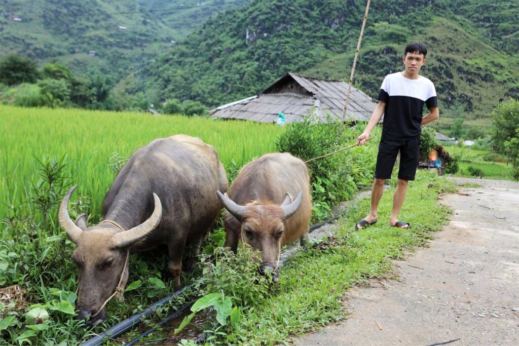 countryside of Ha Giang