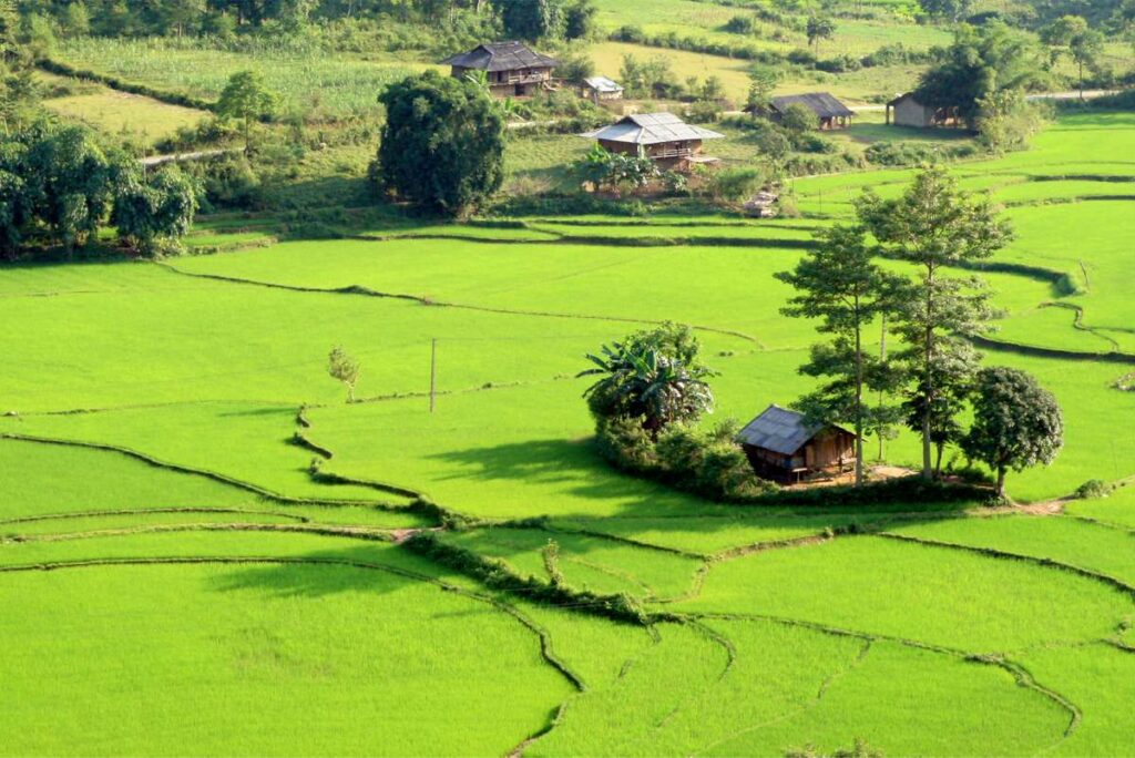 Dua Gia in Ha Giang