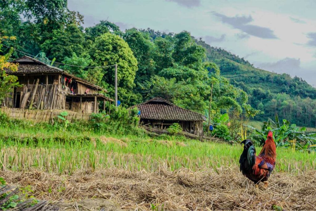 Khuoi Khon Village