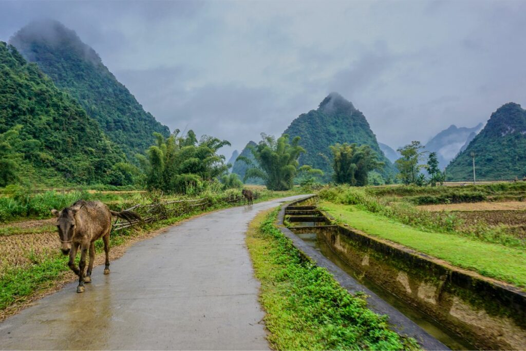 Phong Nam valley