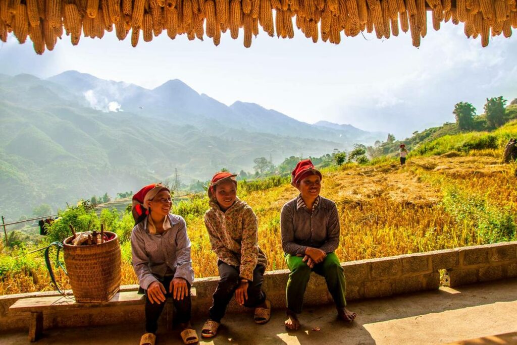 The Little Hmong House