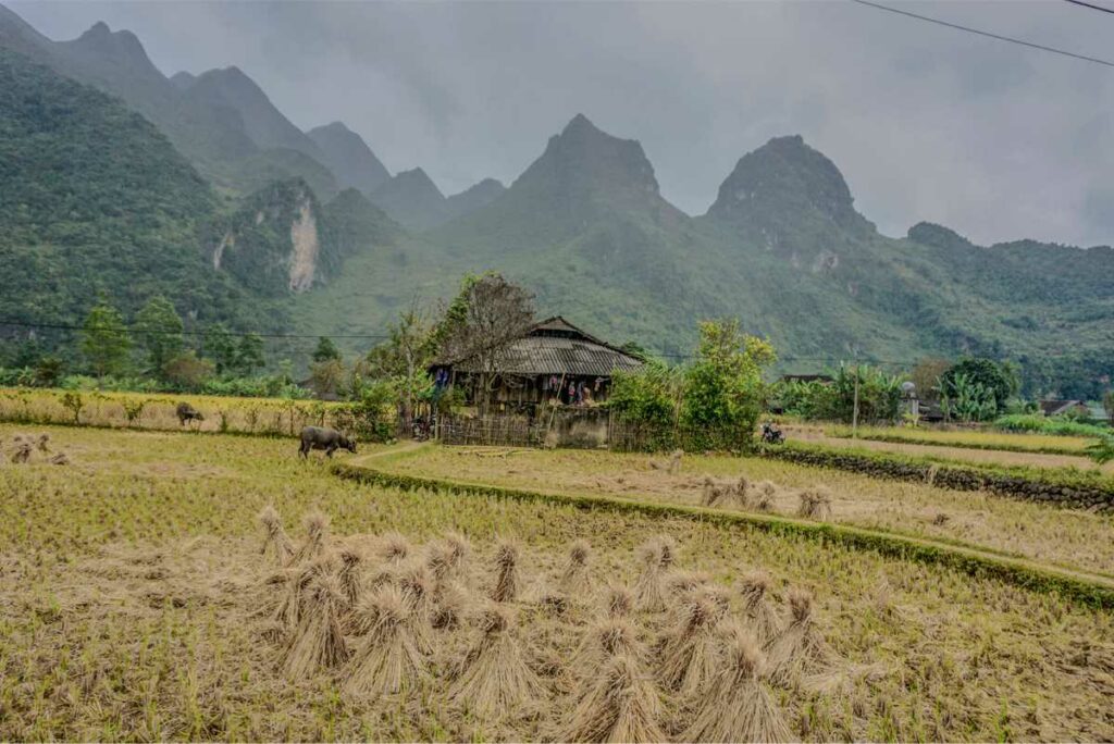 Xuan Truong in Bao Lac - Cao Bang