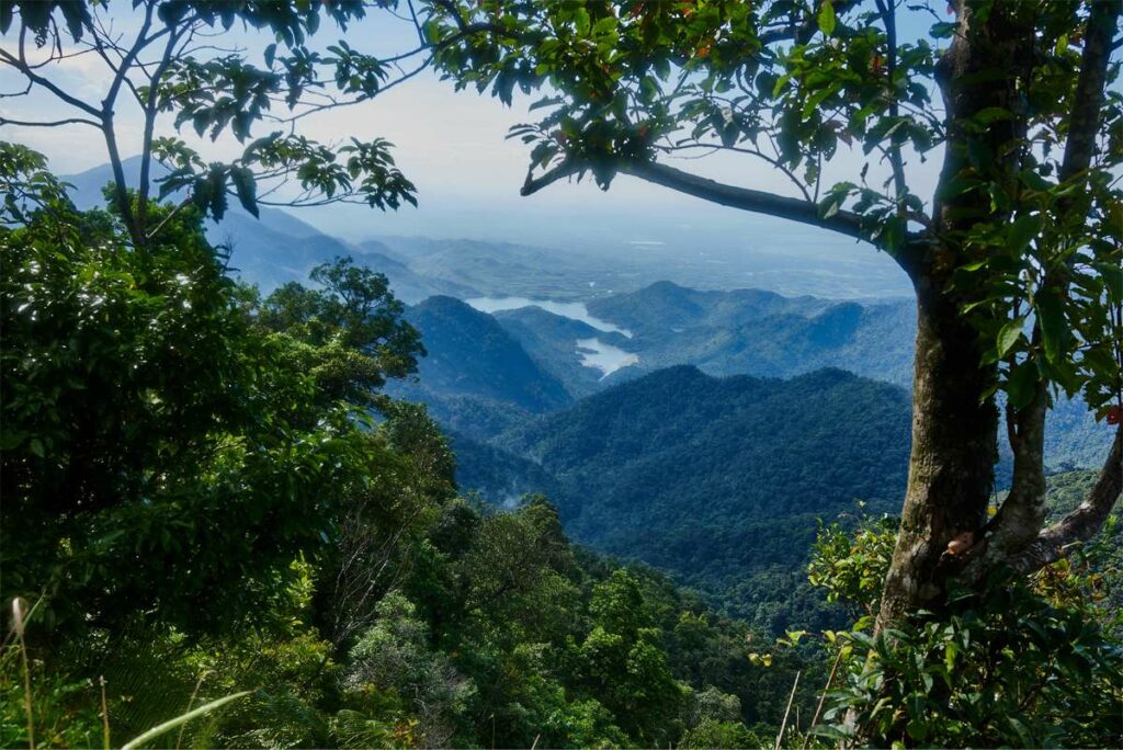 The view from Bac Ma Mountain in Bach Ma National Park