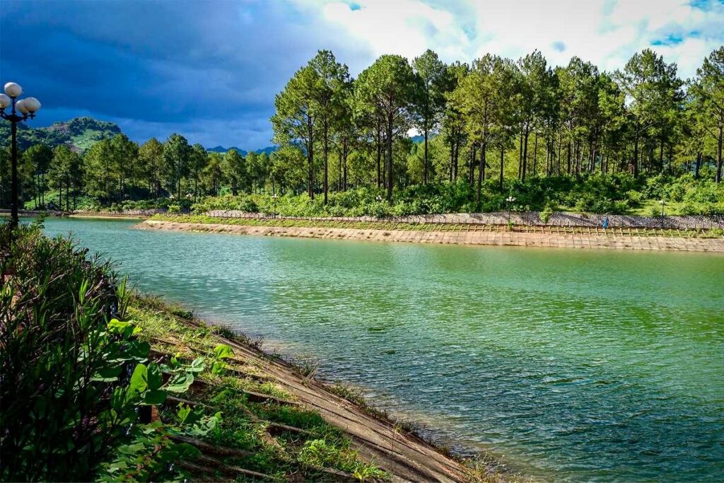 Ban Ang Pine Forest