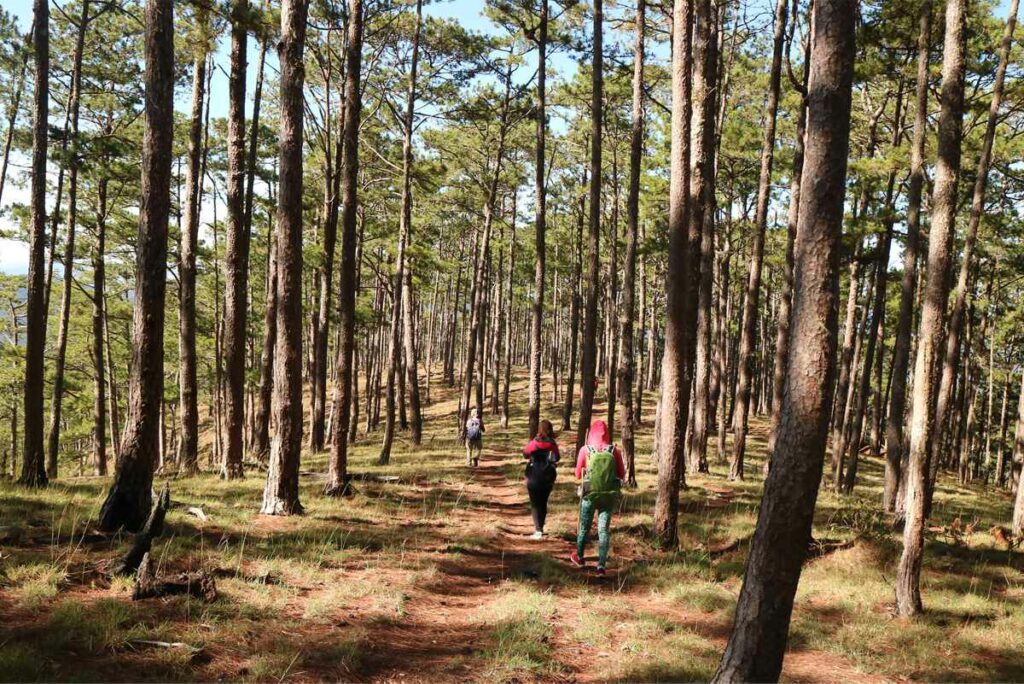 Bidoup National Park