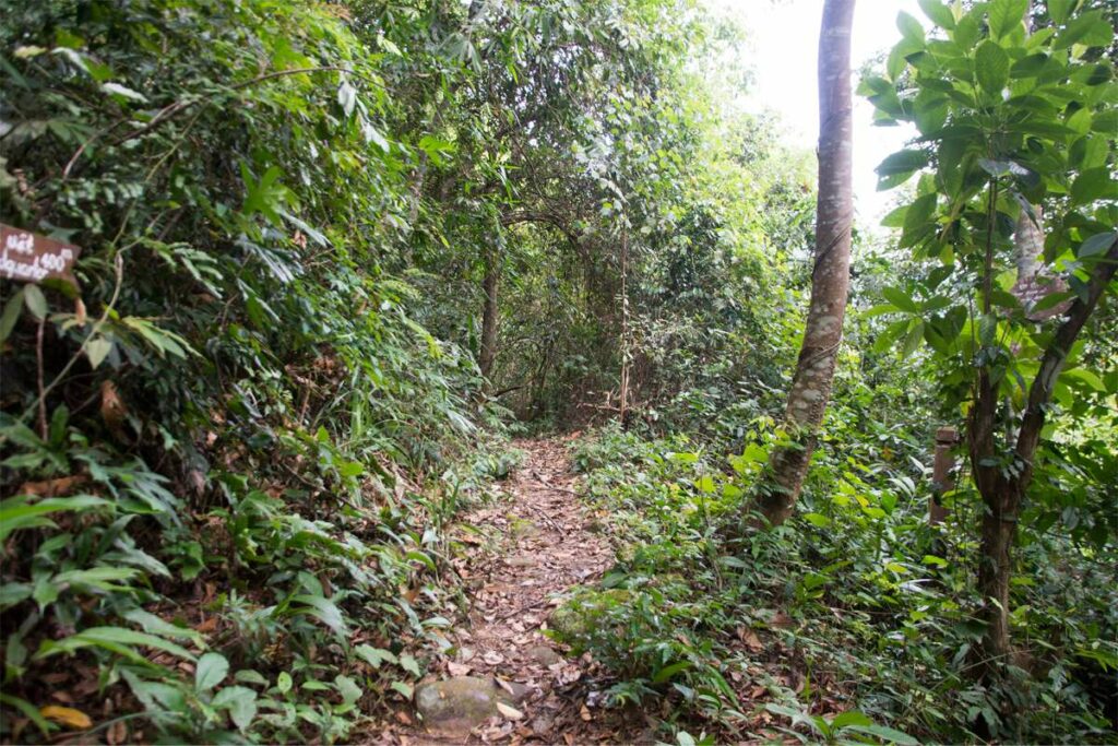 Botanic Hardens hiking trail