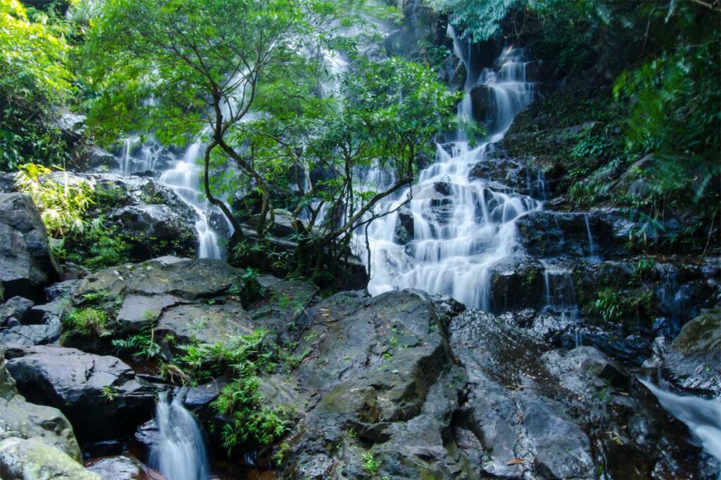 Botanic Gardens waterfall