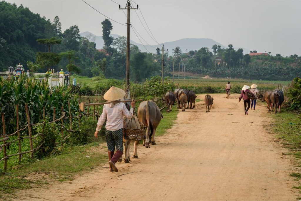 Phong Nha countryside