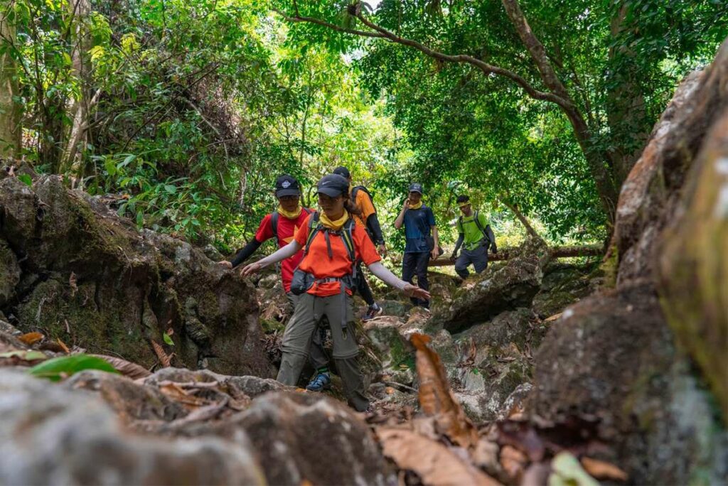 Phong Nha jungle trekking