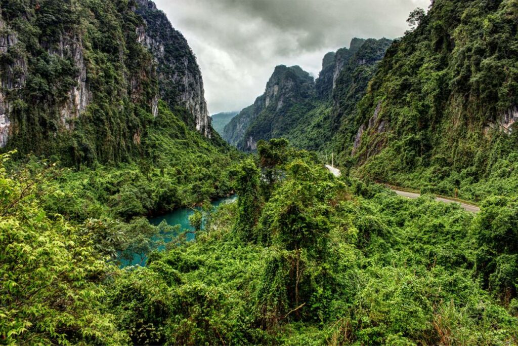 The jungle of Phong Nha National Park