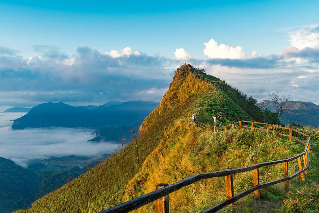 Con Dao National Park