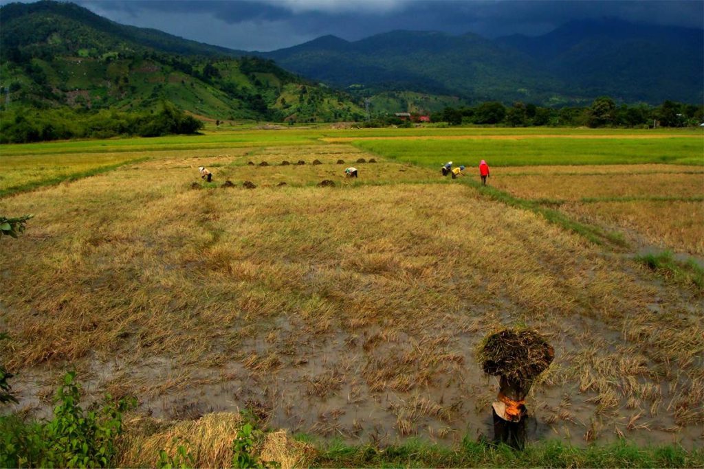 Dak Lake countryside