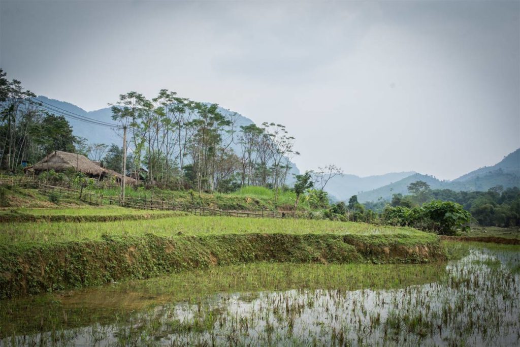 Pu Mat national park