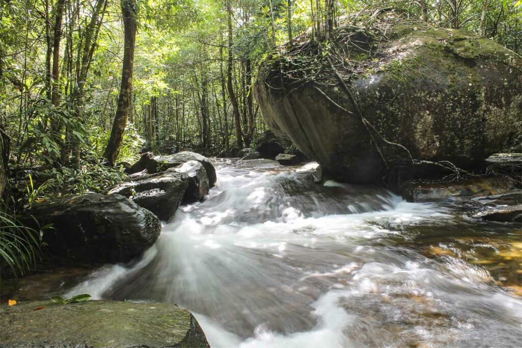 Suoi Tranh waterfall