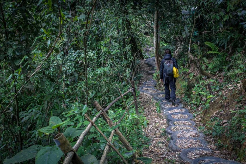 trekking in Pu Mat National Park