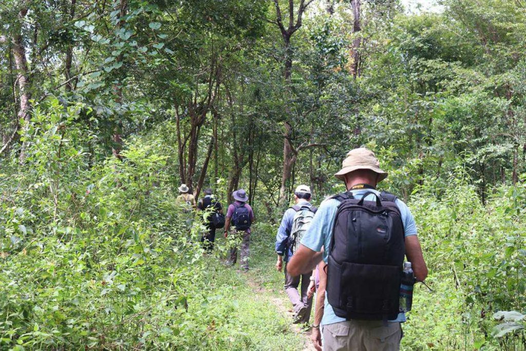 trekking in Yok Don National Park